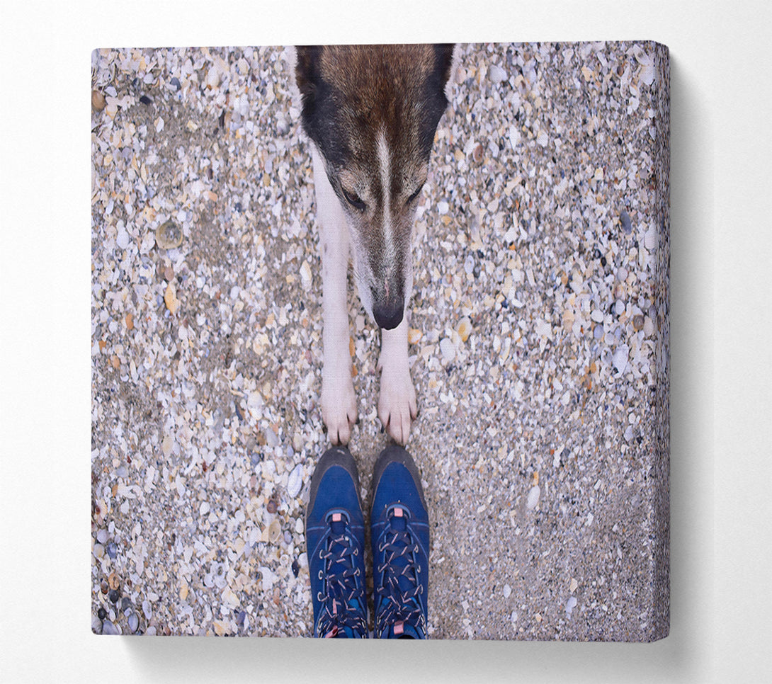  A Canvas Print of Blue Paw Prints On Sand Canvas Art
