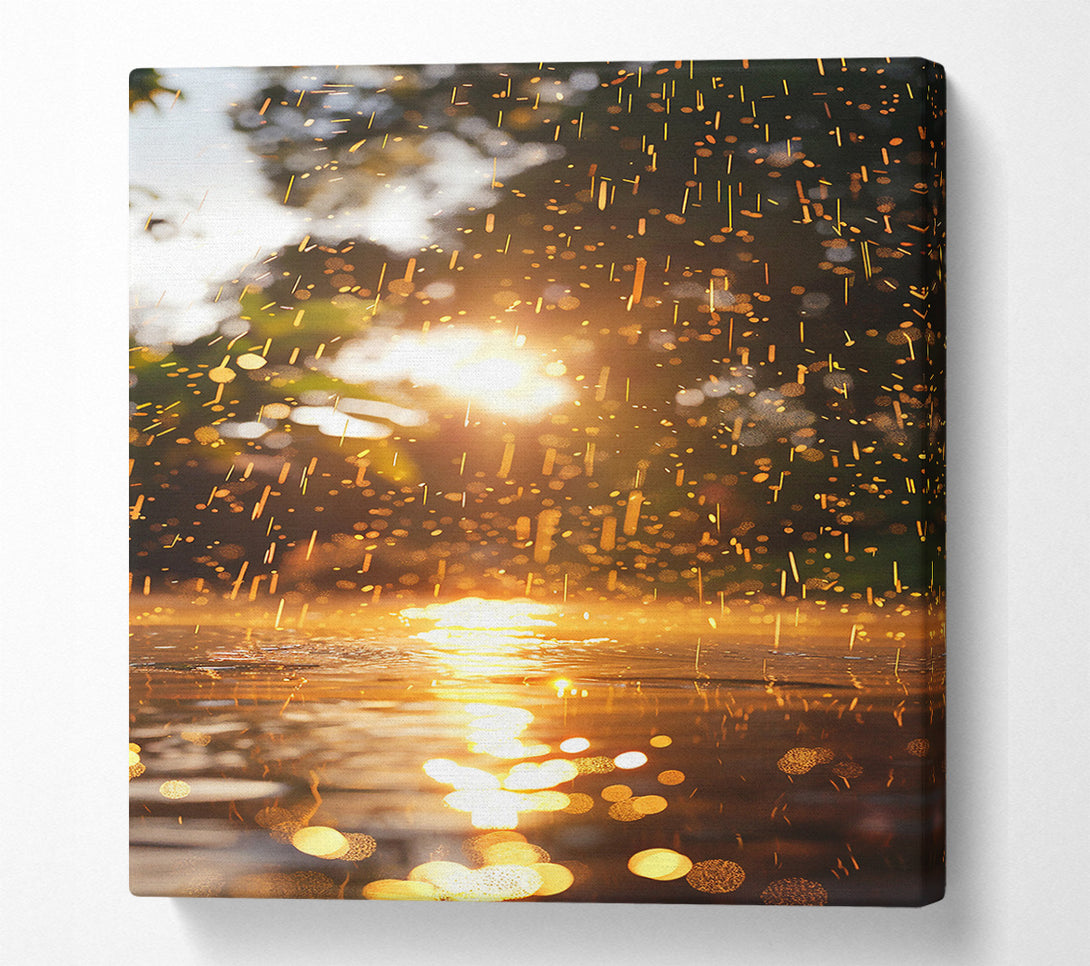  A Canvas Print of Golden Water Drops Canvas Print