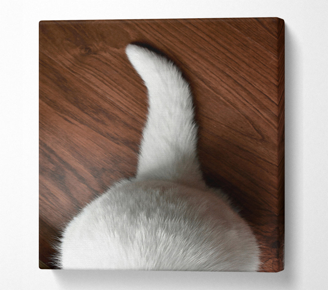  A Canvas Print of White Fur On Brown Floor Canvas Wall Art