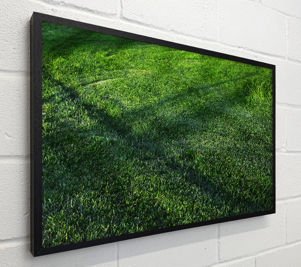 Emerald Green Meadow