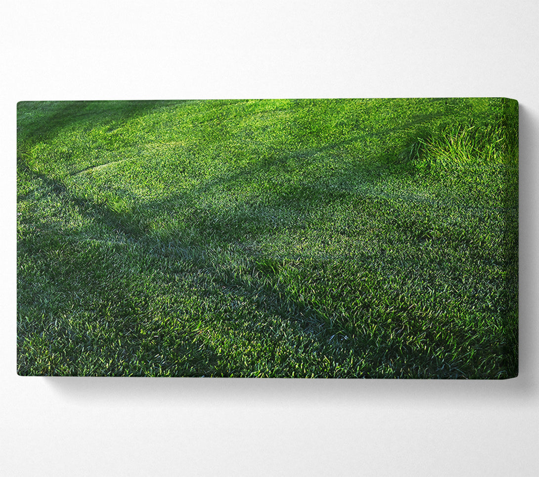  A Canvas Print of Emerald Green Meadow Canvas Wall Art
