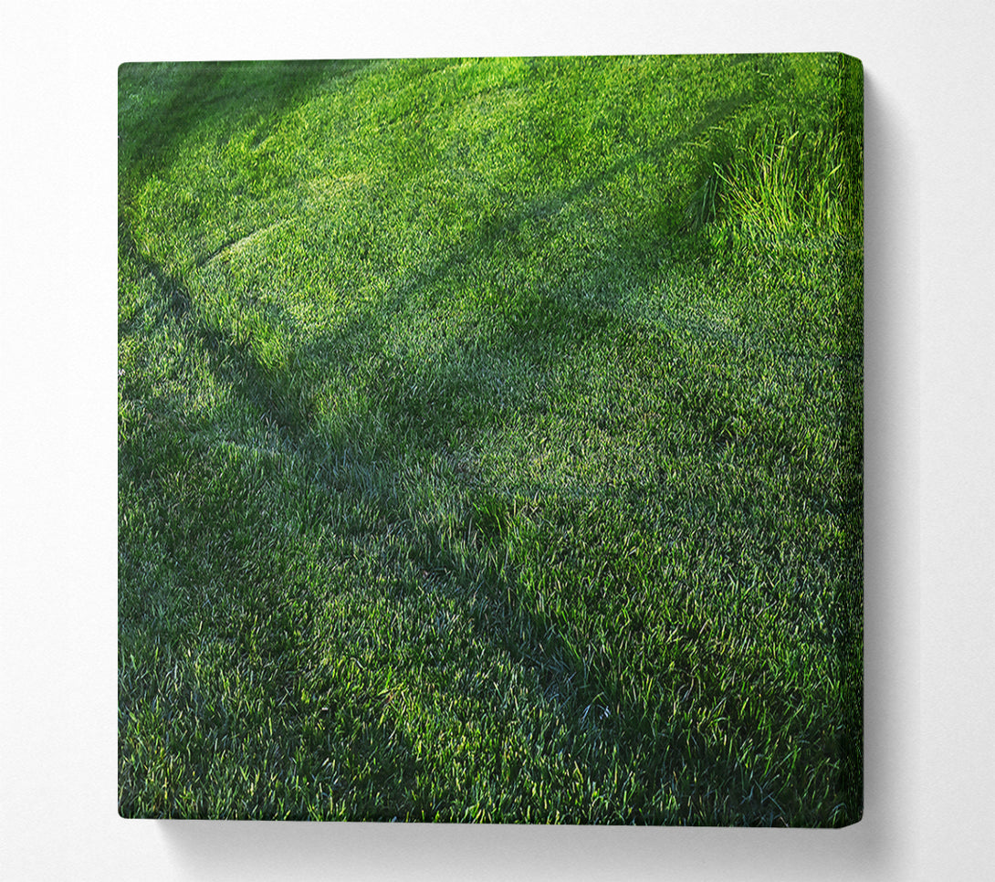  A Canvas Print of Emerald Green Meadow Canvas Wall Art