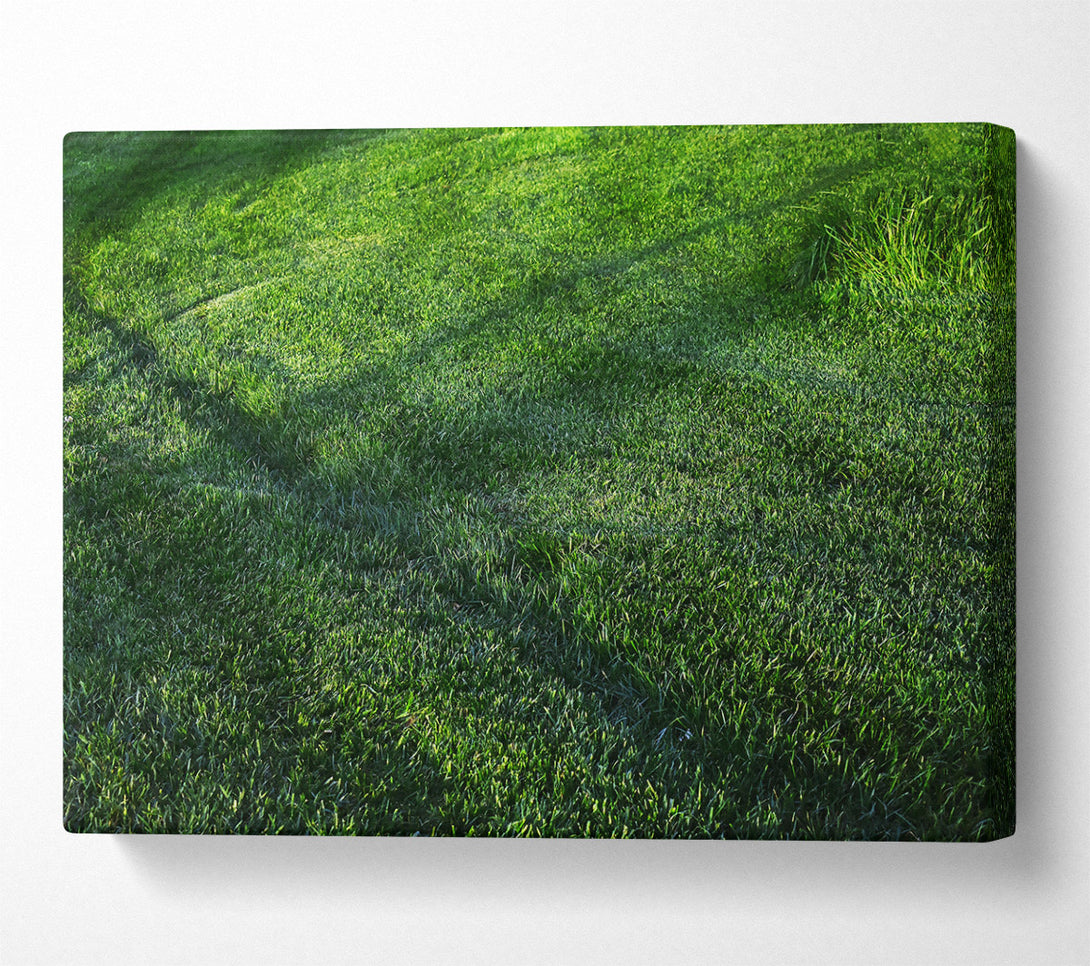  A Canvas Print of Emerald Green Meadow Canvas Wall Art