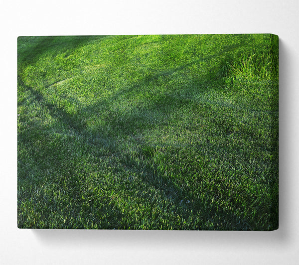  A Canvas Print of Emerald Green Meadow Canvas Wall Art