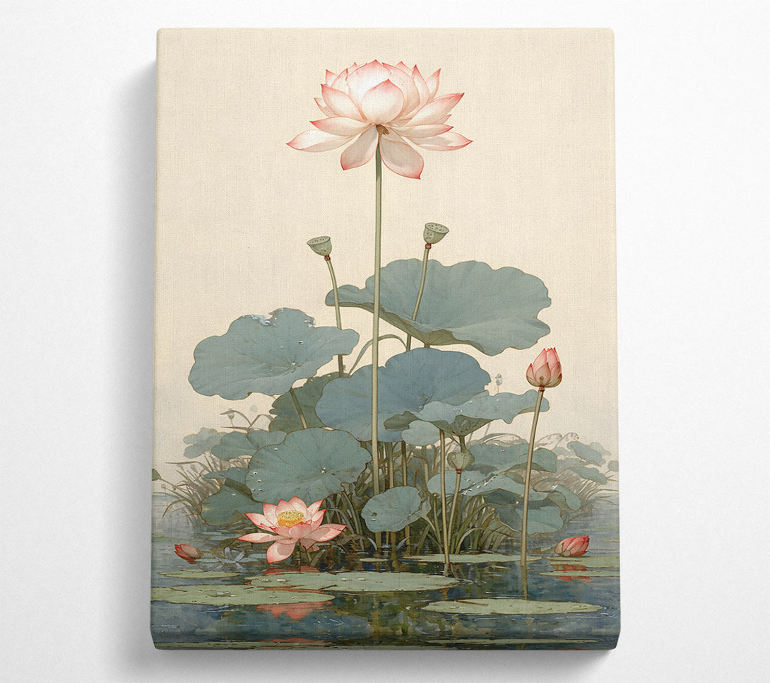  A Canvas Print of Pink Lotus Pond Canvas Print