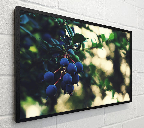 Indigo Berry Cluster