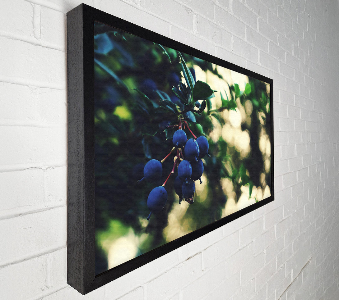  A Canvas Print of Indigo Berry Cluster Canvas Wall Art