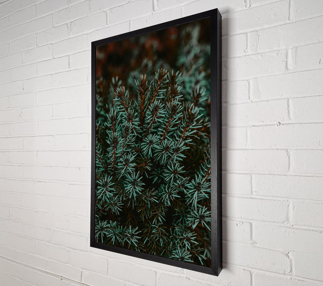  A Canvas Print of Teal Evergreen Branches Canvas Wall Art