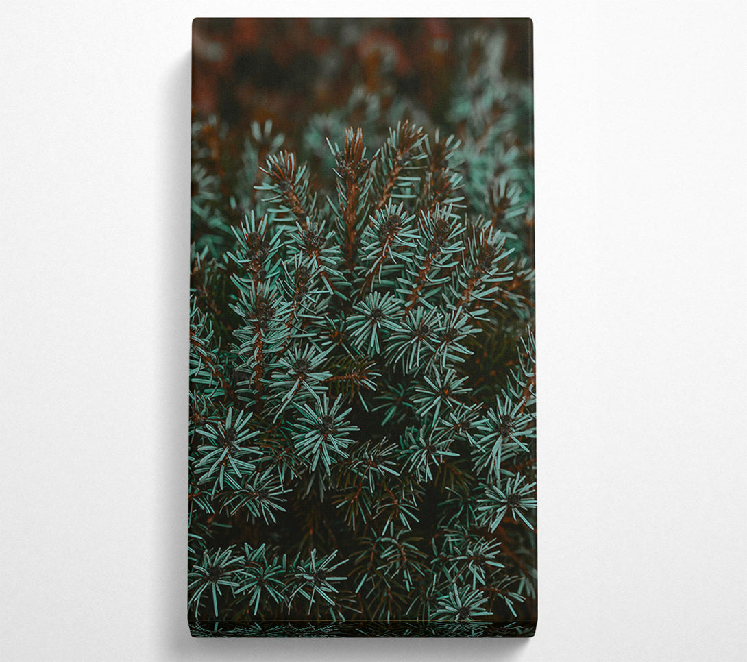  A Canvas Print of Teal Evergreen Branches Canvas Wall Art