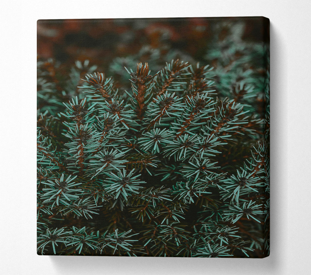  A Canvas Print of Teal Evergreen Branches Canvas Wall Art