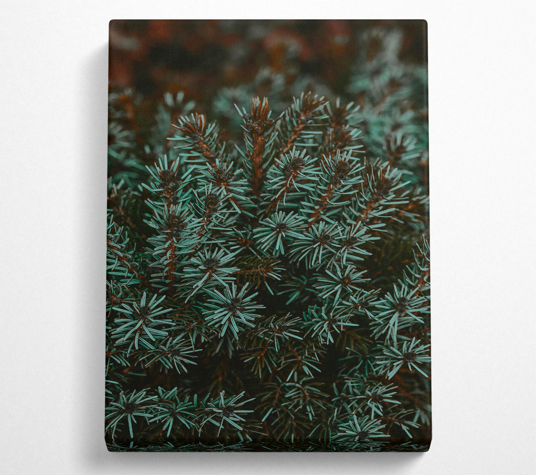  A Canvas Print of Teal Evergreen Branches Canvas Wall Art