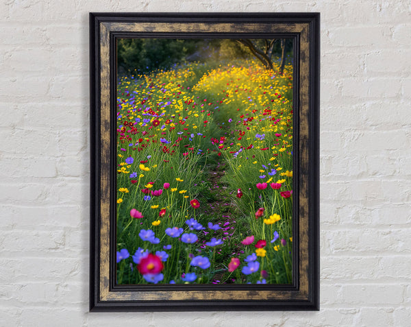 Wildflower Pathway Framed Print