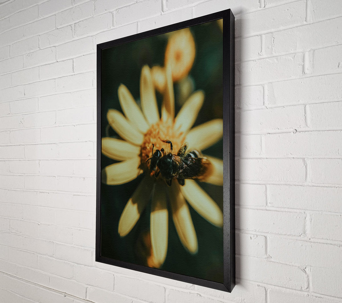  A Canvas Print of Golden Bee Buzzing Canvas Art