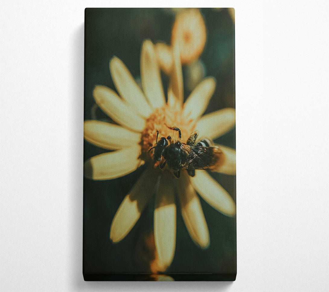  A Canvas Print of Golden Bee Buzzing Canvas Art
