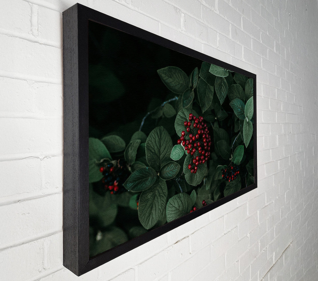  A Canvas Print of Crimson Berries And Green Leaves Canvas Print