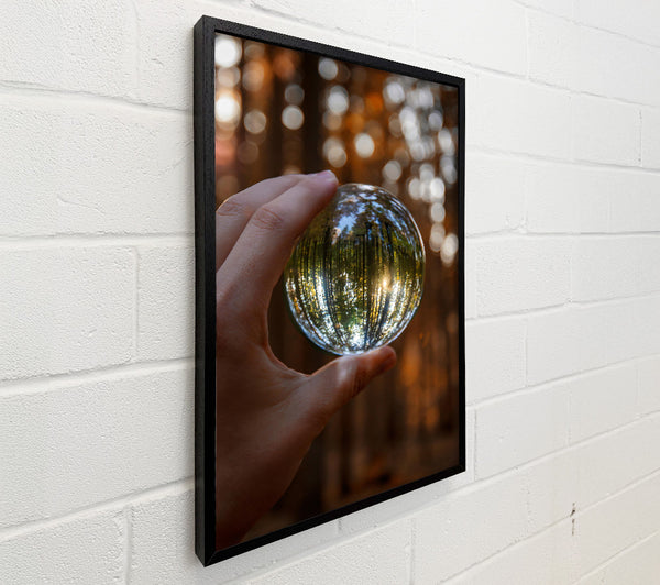Golden Forest Lens