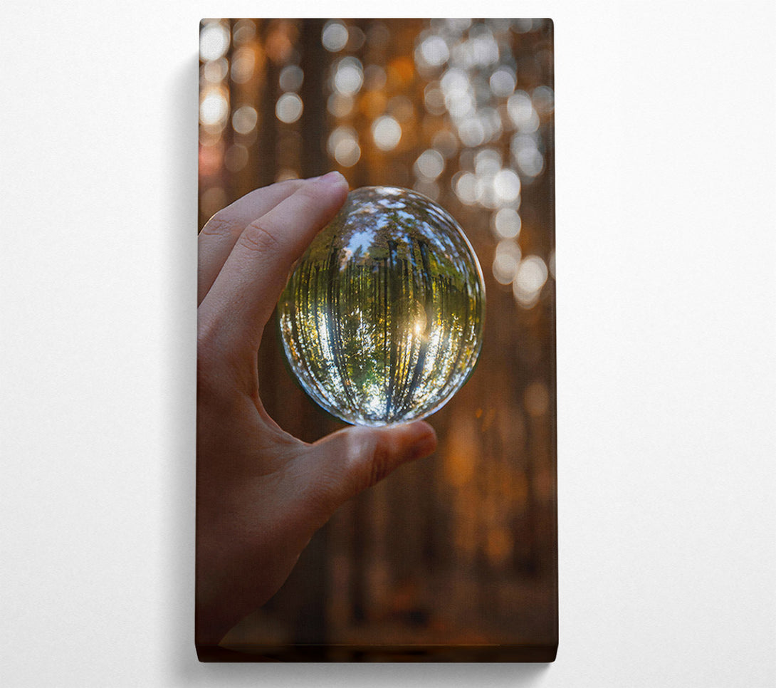  A Canvas Print of Golden Forest Lens Canvas Art