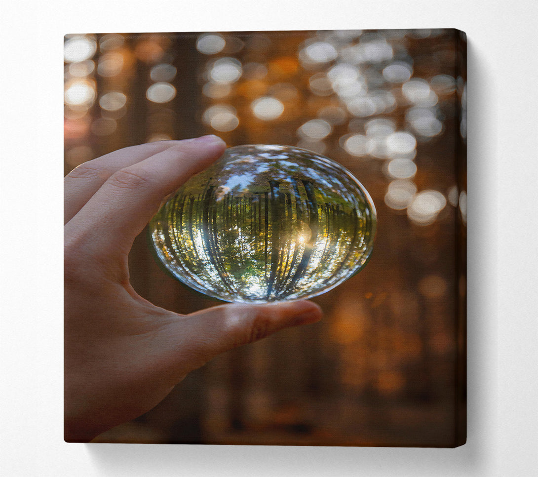  A Canvas Print of Golden Forest Lens Canvas Art