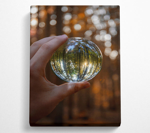  A Canvas Print of Golden Forest Lens Canvas Art