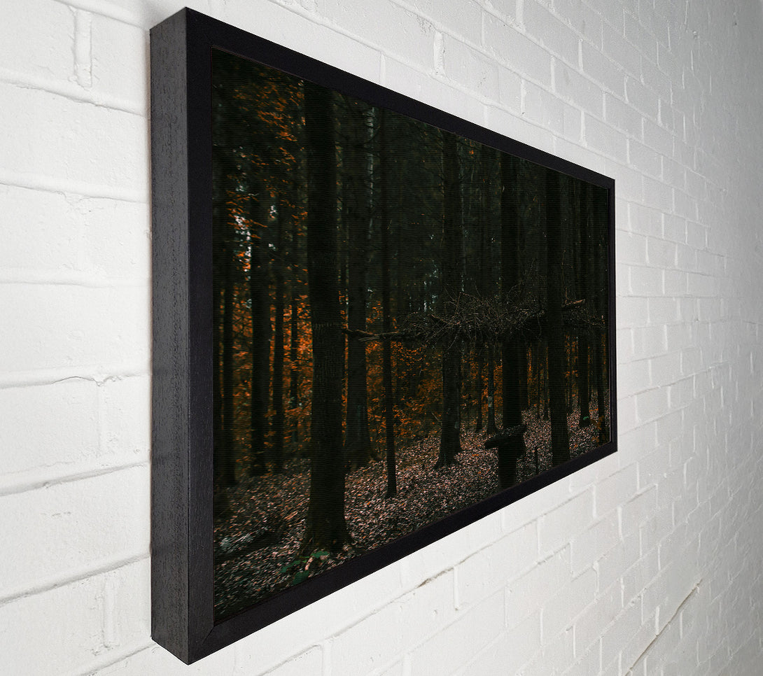  A Canvas Print of Orange Light In The Woods Canvas Wall Art