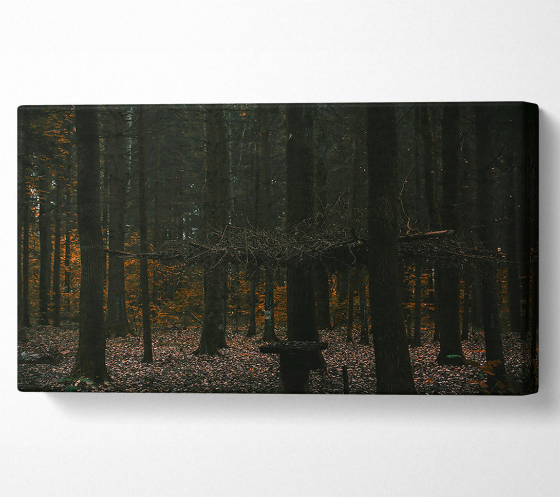  A Canvas Print of Orange Light In The Woods Canvas Wall Art