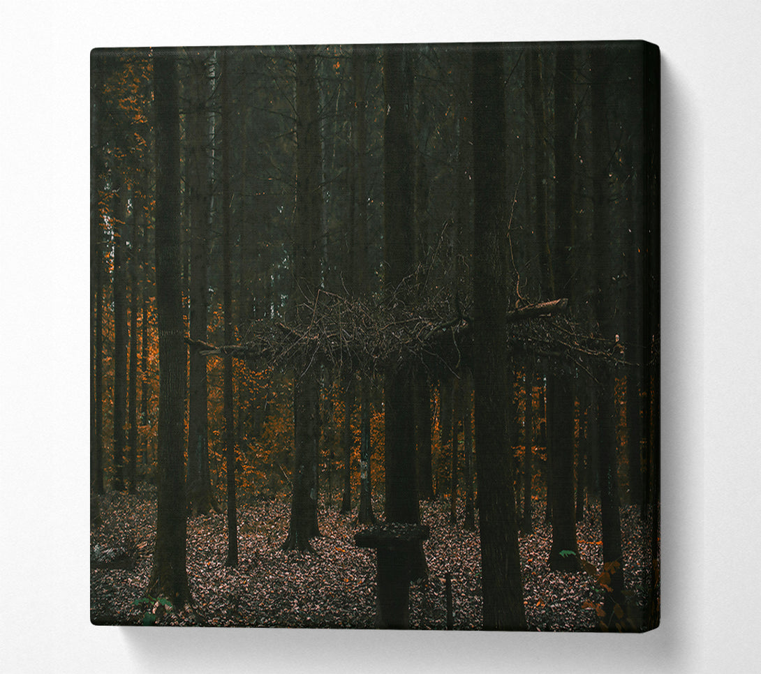  A Canvas Print of Orange Light In The Woods Canvas Wall Art