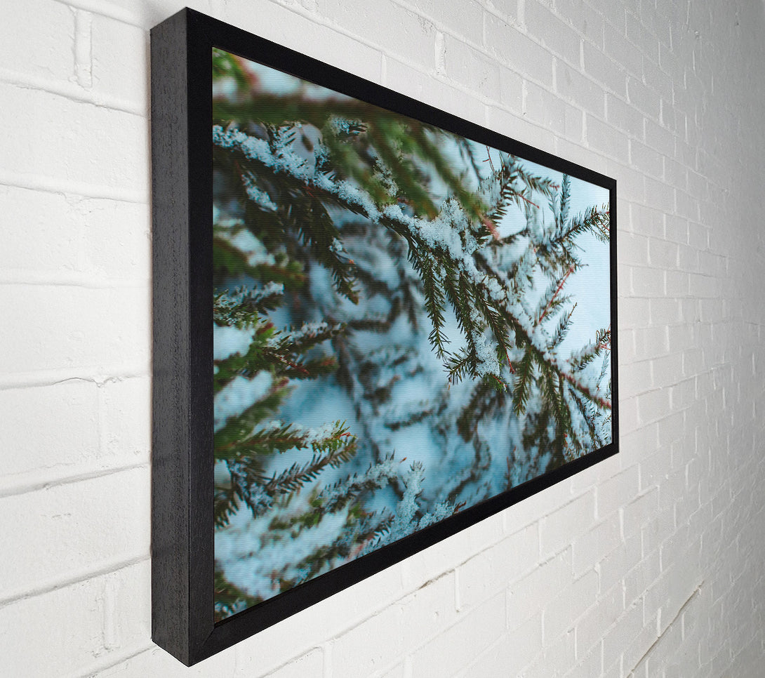  A Canvas Print of White Winter Branches Canvas Wall Art