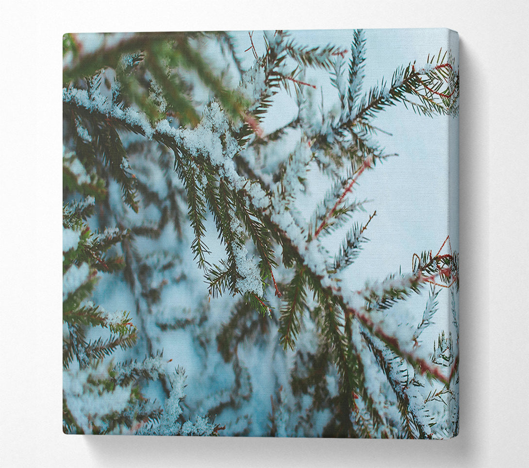  A Canvas Print of White Winter Branches Canvas Wall Art