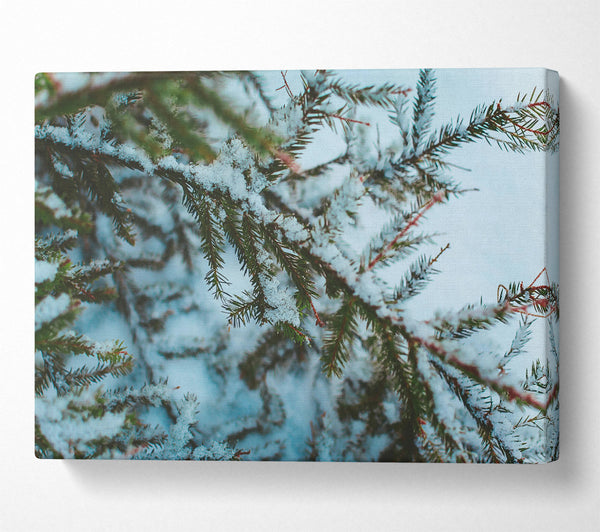  A Canvas Print of White Winter Branches Canvas Wall Art