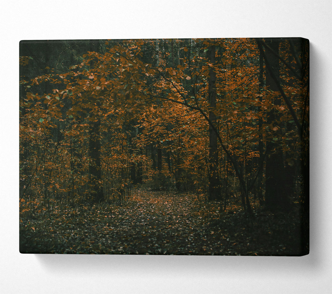  A Canvas Print of Golden Path Through Woods Canvas Wall Art