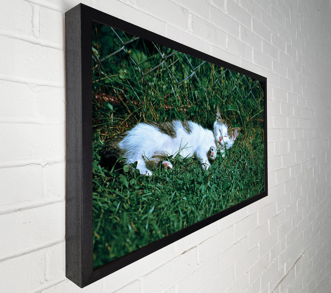  A Canvas Print of Green Grass Nap Canvas Wall Art