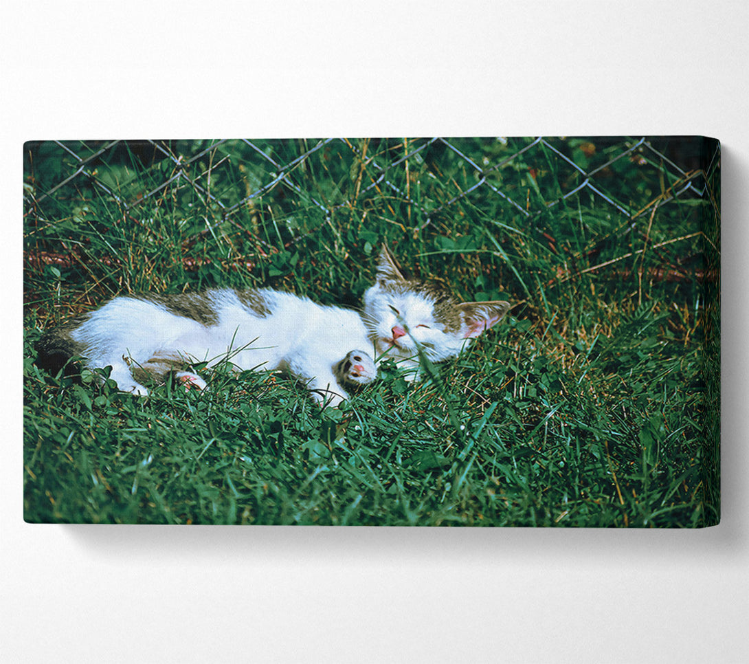  A Canvas Print of Green Grass Nap Canvas Wall Art