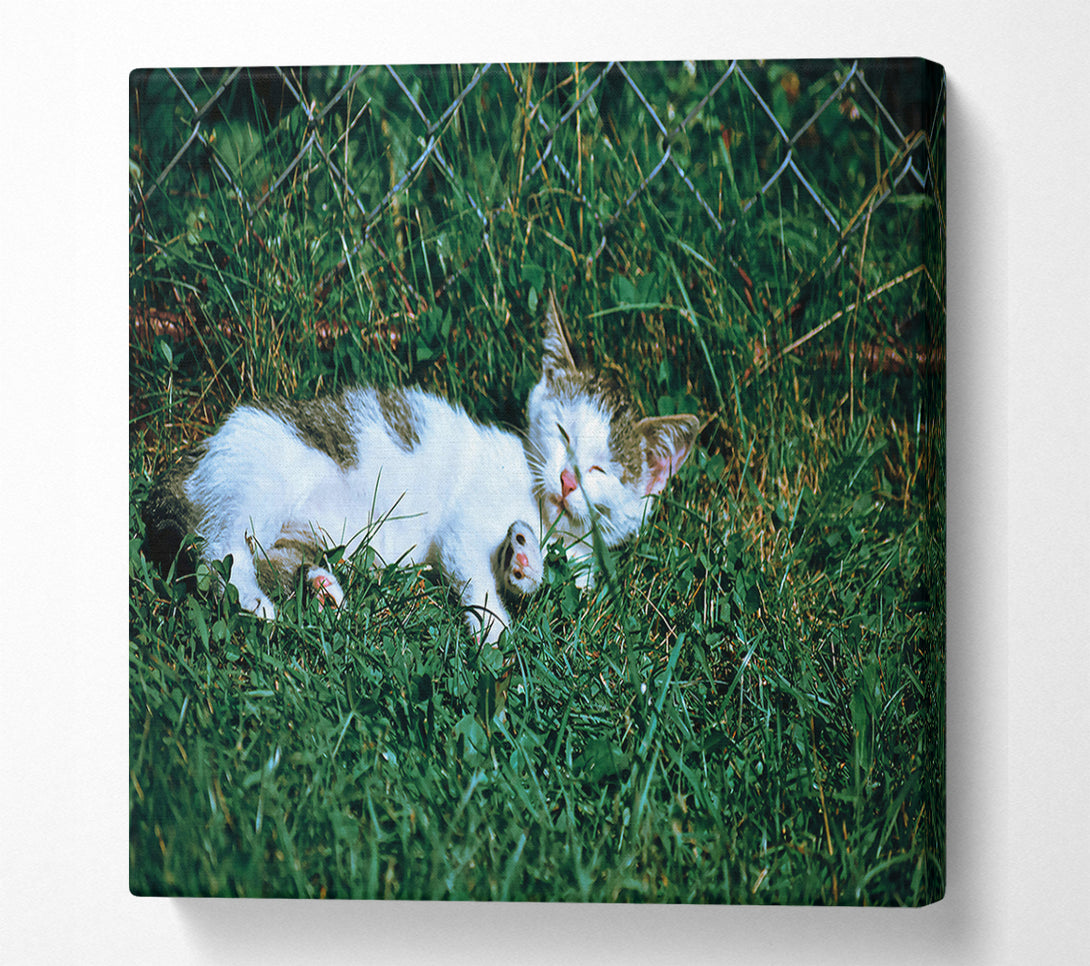  A Canvas Print of Green Grass Nap Canvas Wall Art