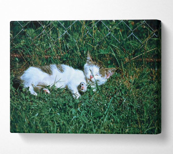  A Canvas Print of Green Grass Nap Canvas Wall Art