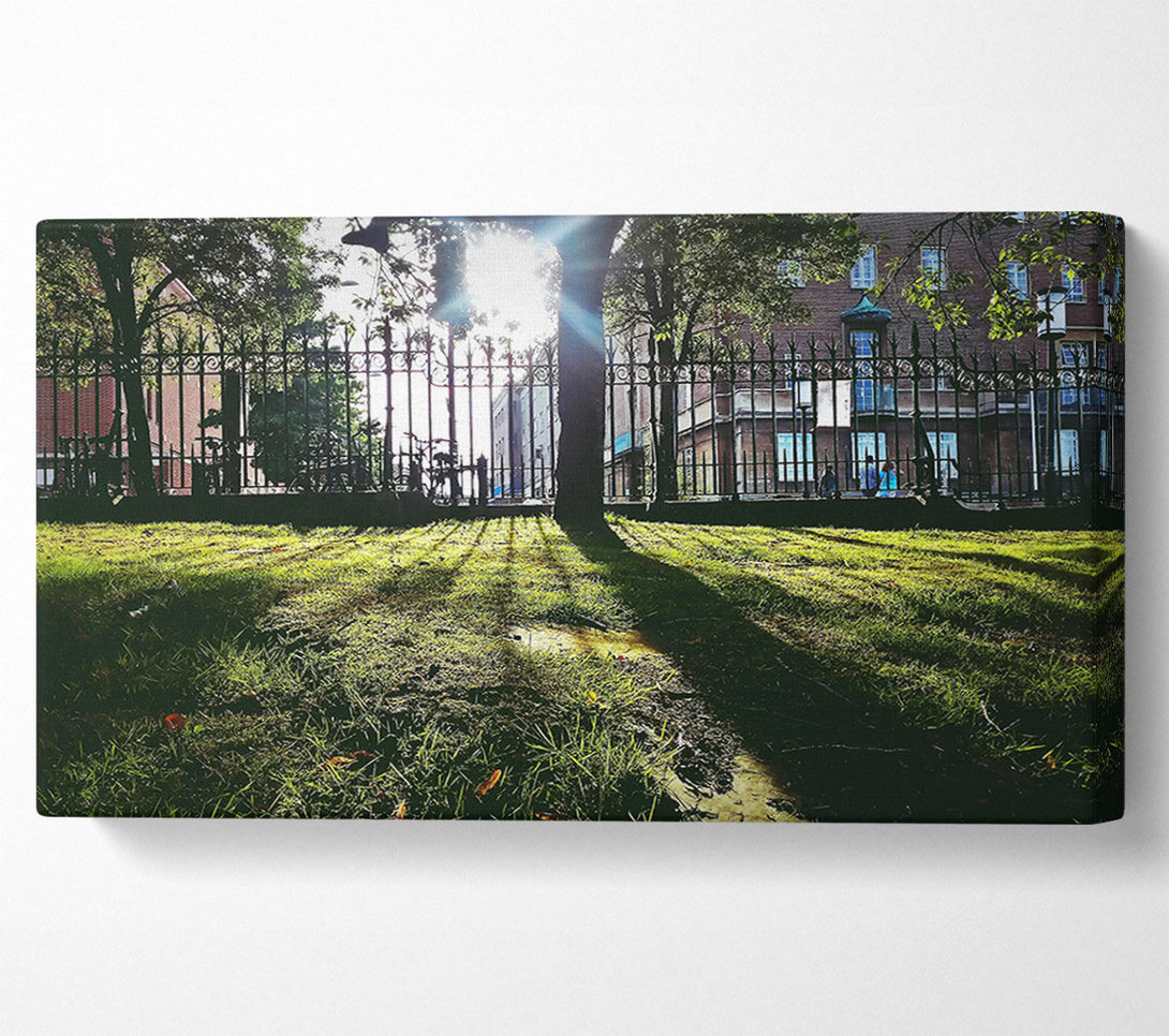 A Canvas Print of Green Sunbeams Through Iron Canvas Art