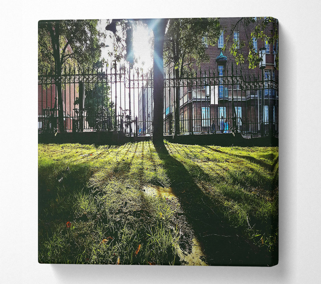  A Canvas Print of Green Sunbeams Through Iron Canvas Art