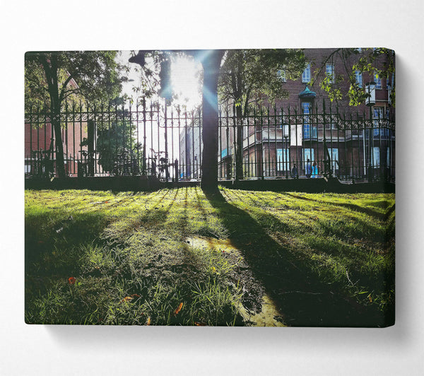  A Canvas Print of Green Sunbeams Through Iron Canvas Art