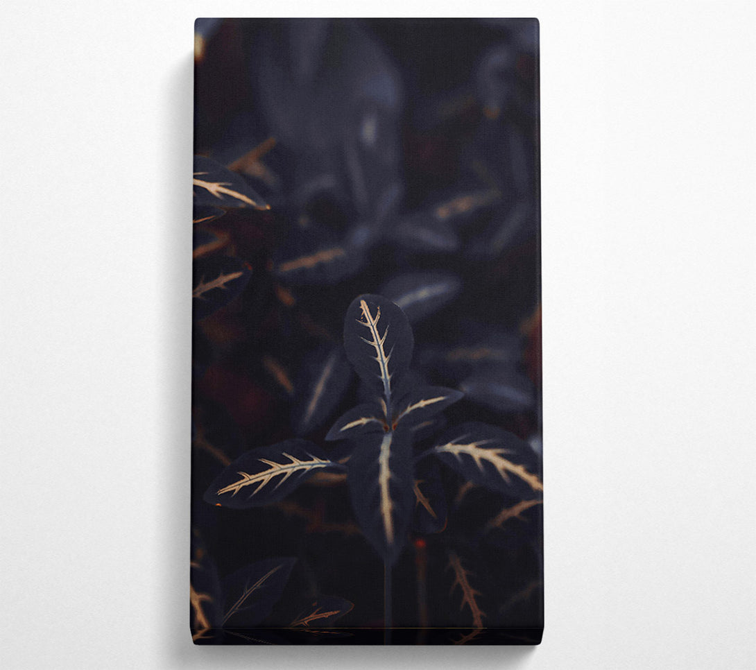  A Canvas Print of Midnight Veined Green Canvas Print