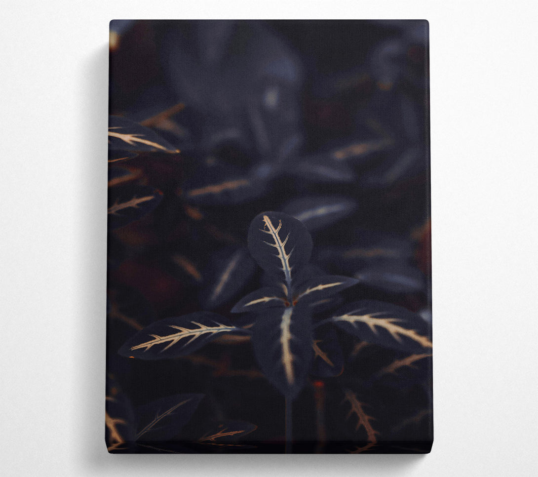  A Canvas Print of Midnight Veined Green Canvas Print