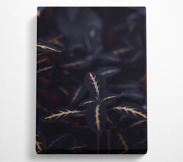  A Canvas Print of Midnight Veined Green Canvas Print
