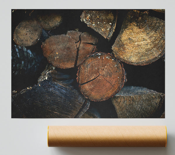 Rustic Red Wood Pile. Poster