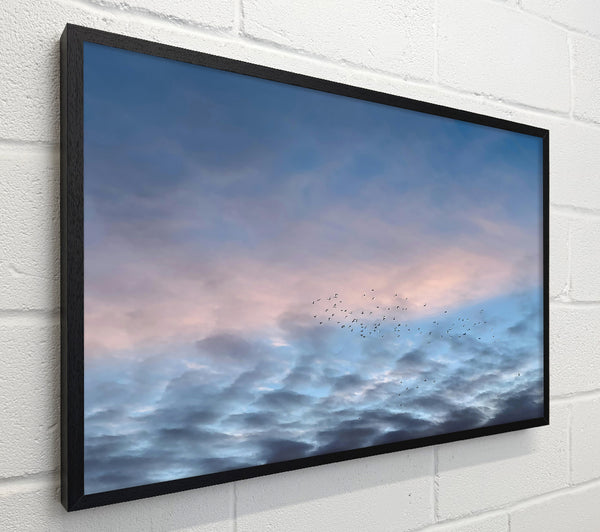 Blue Sky Flock