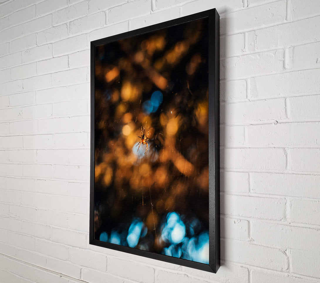  A Canvas Print of Golden Web Weaver Canvas Art