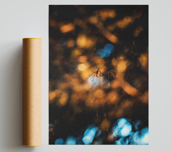 Golden Web Weaver Poster