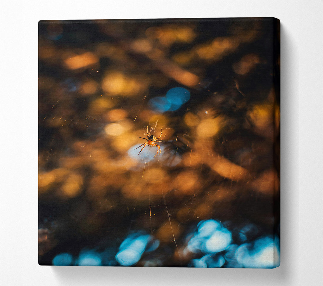  A Canvas Print of Golden Web Weaver Canvas Art