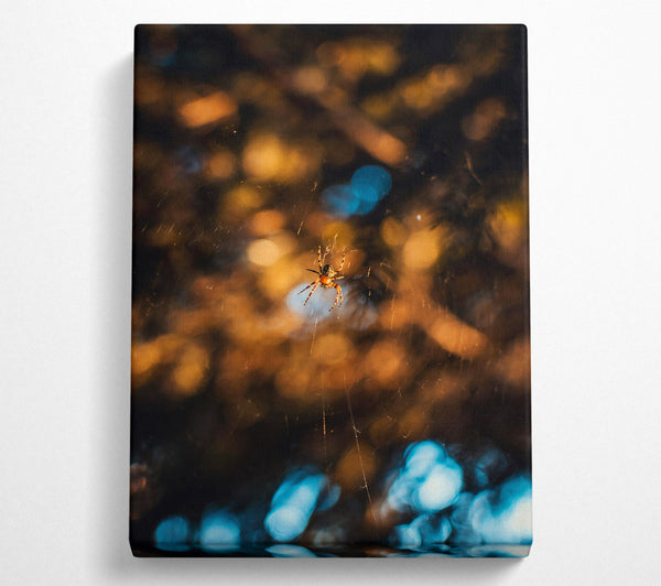  A Canvas Print of Golden Web Weaver Canvas Art