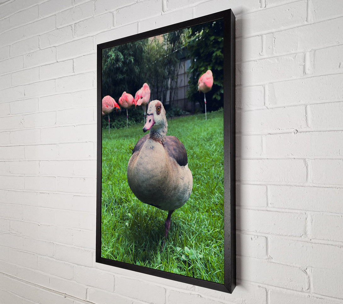 A Canvas Print of Pink Flamingo'S Friend Canvas Wall Art