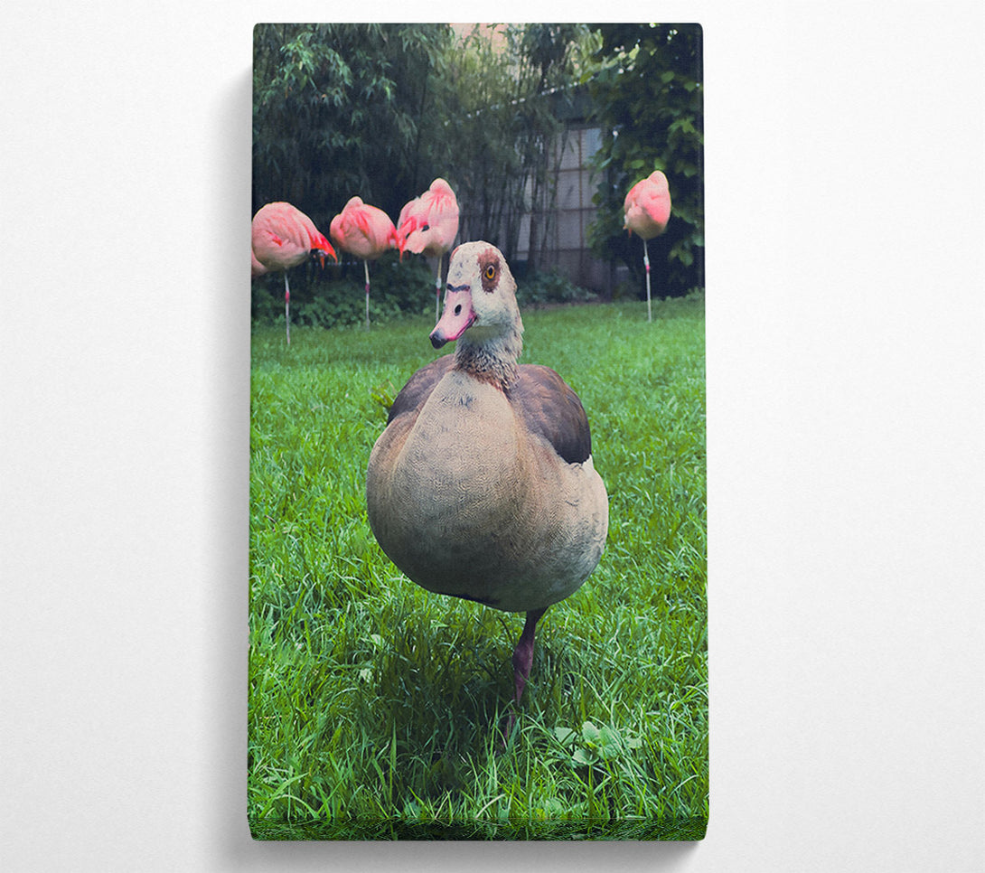  A Canvas Print of Pink Flamingo'S Friend Canvas Wall Art