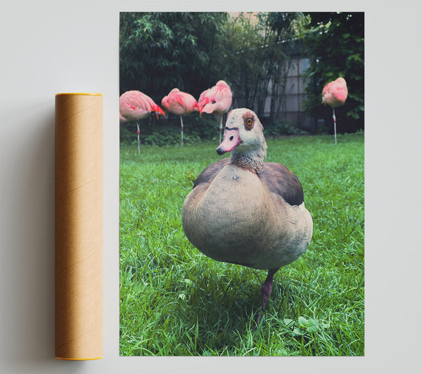 Pink Flamingo'S Friend Print