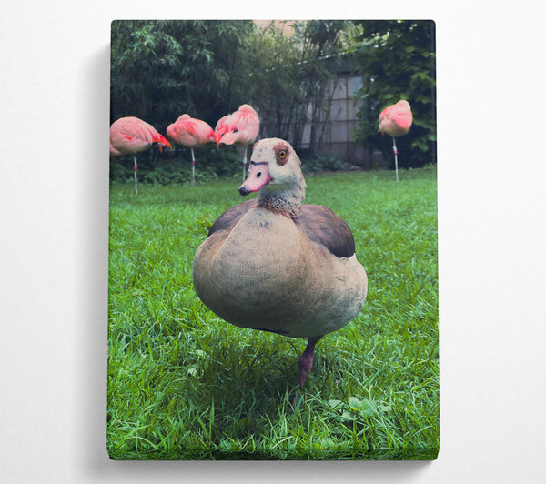  A Canvas Print of Pink Flamingo'S Friend Canvas Wall Art